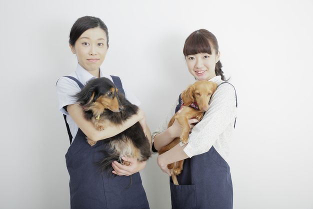 ペットショップ・ボーイズ「Go West」で英語が学べる 歌詞解説・発音・英文法