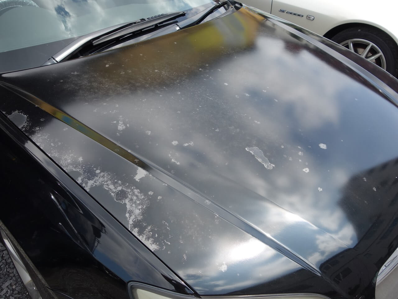 クリア剥がれ修理 ボンネット ルーフ プジョー│鈑金塗装 埼玉県