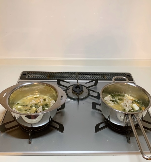 宮崎製作所 ジオ・プロダクト 片手鍋 20cm GEO-20N ブログ 後悔が大きい？ジオプロダクトの