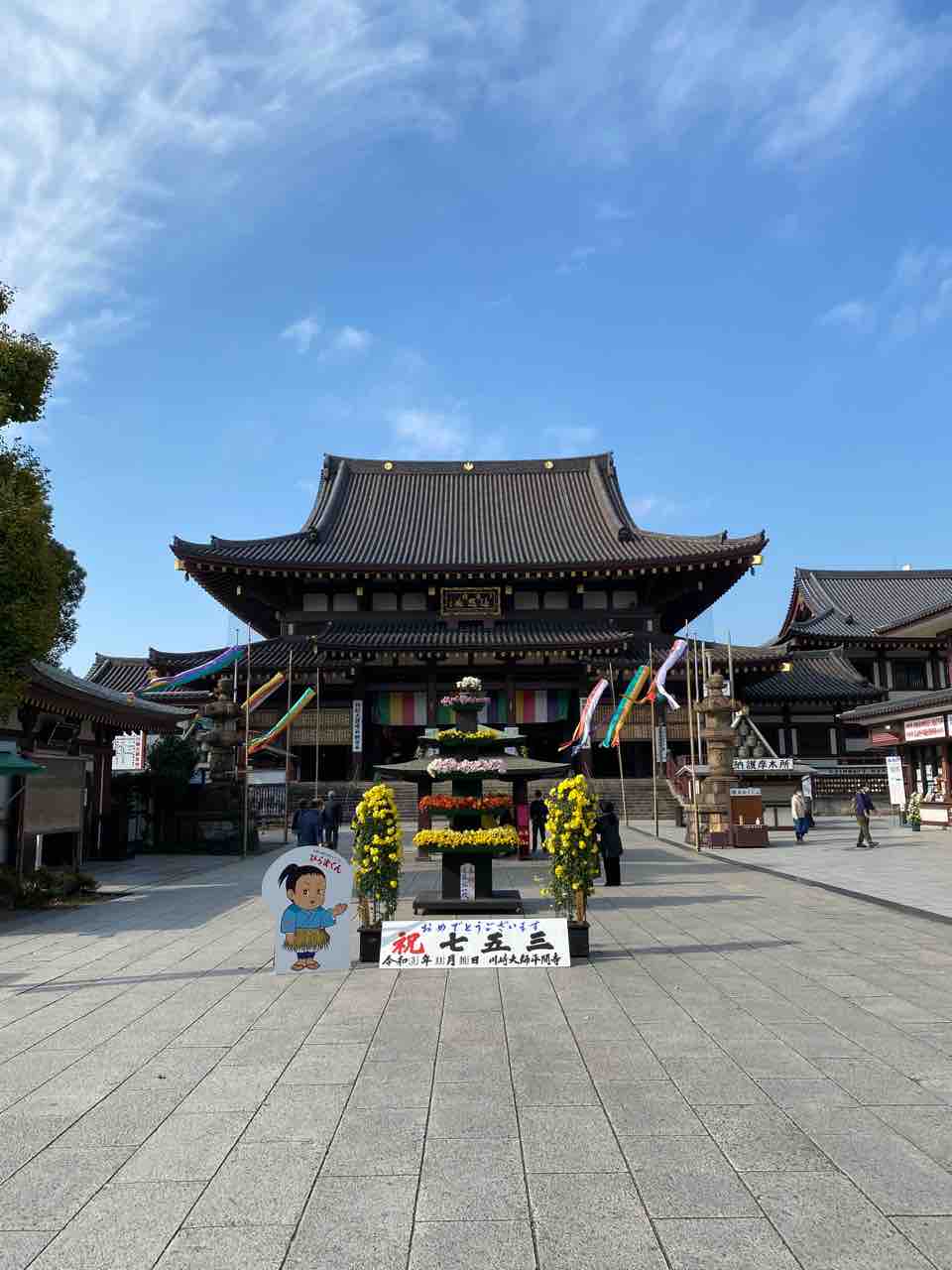 桃源郷岬のアジサイ｜宮崎県の紫陽花の名所｜2024年更新