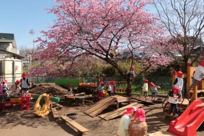 2025年最新 木の実保育園の求人・転職・募集情報 保育士 パート・アルバイト -福岡県久留米市 保育士バンク！