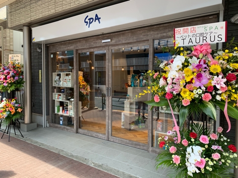 SPAの施設について NPO法人SPA｜犬や猫の譲渡、里親募集・ペット用品販売