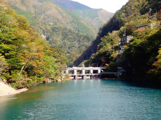 Turquoise Lake / ターコイズブルーの湖に架かる夢の吊橋