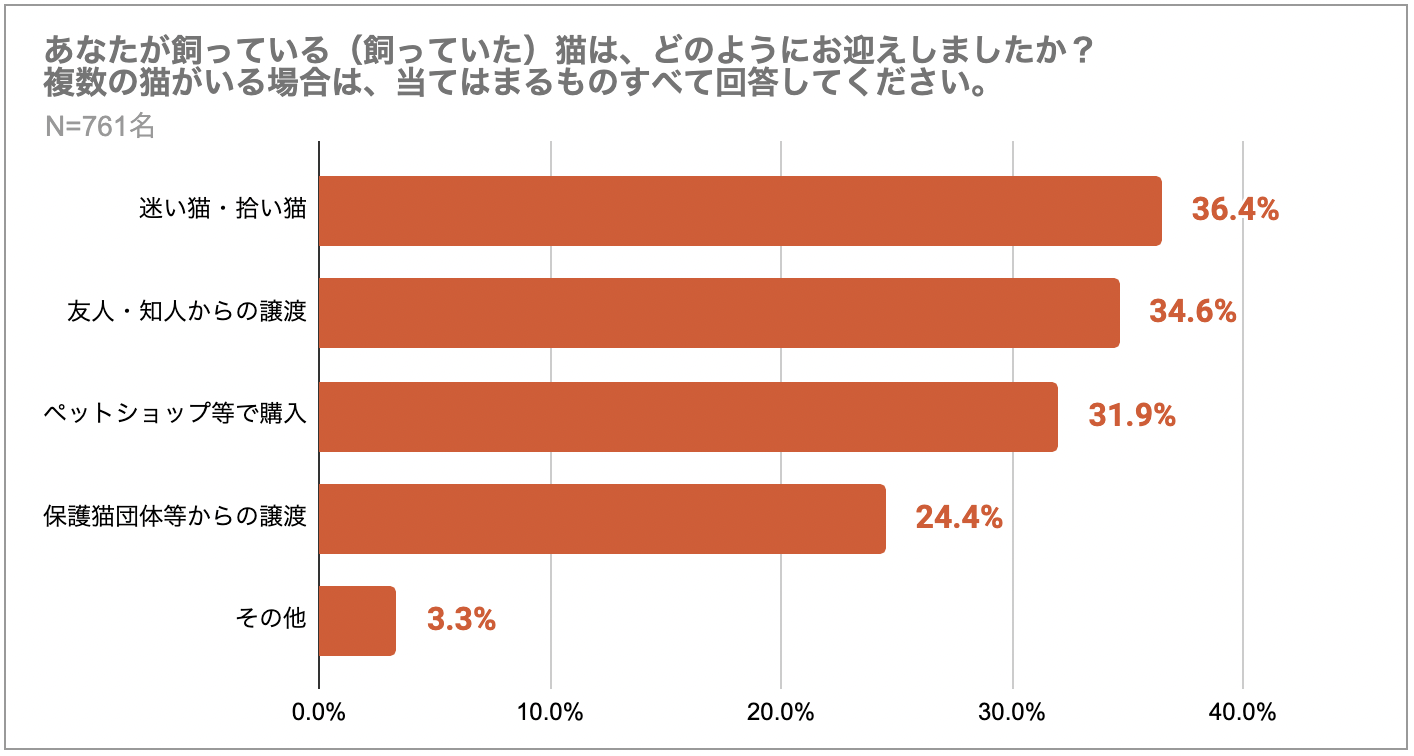 ブルマスティフの特徴や性格、価格は？ 飼うならブリーダー？ペットショップ？petandco株式会社