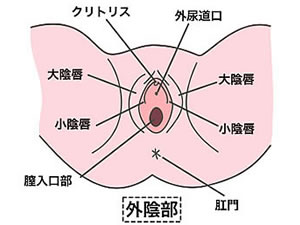 投票 - エロくないのにエロ単語に思えちゃう言葉は？ - gooランキング