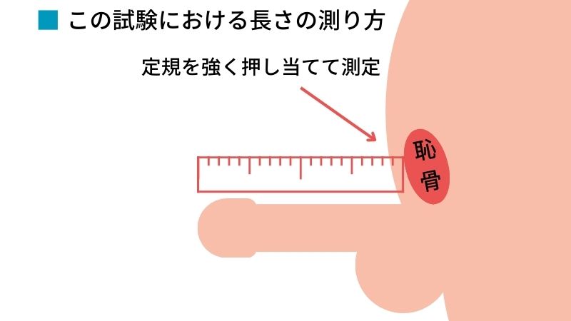 男性器の大きさについて｜大東製薬工業株式会社