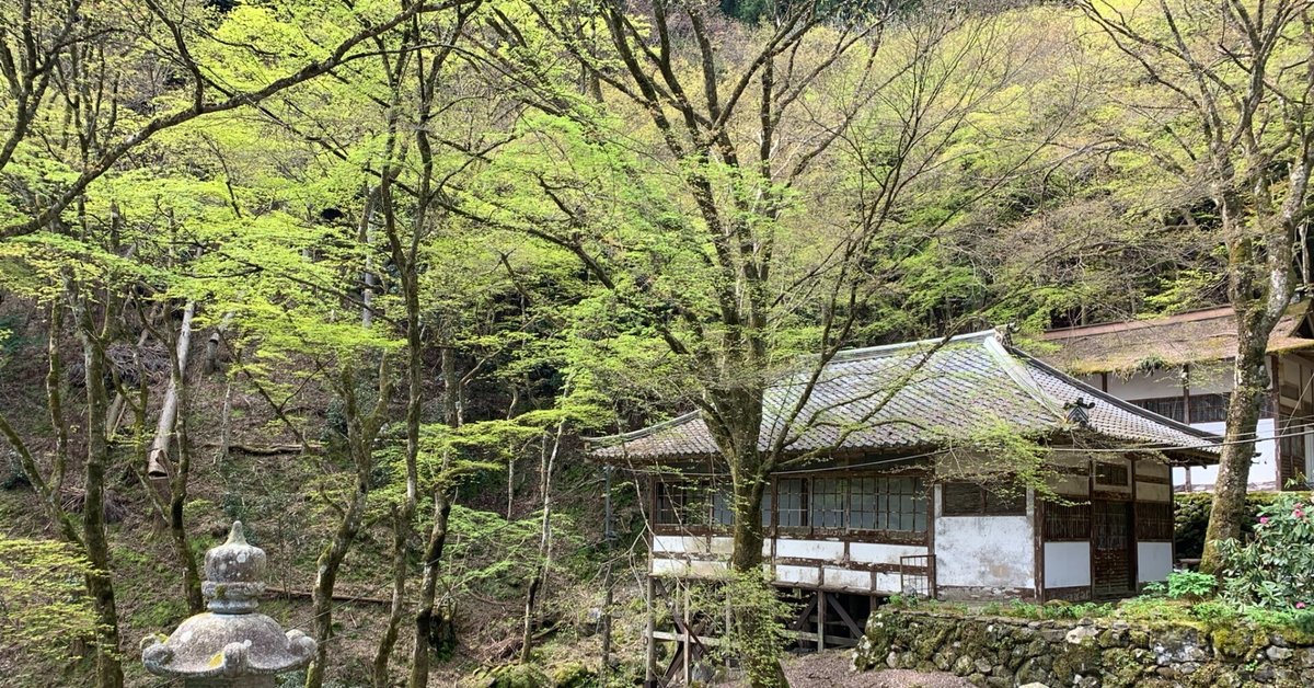 ショートウルフ×抜きっぱなしブロンド 京都/河原町/ハイトーン：L133313371｜ロッツオブ 三条河原町駅(lots