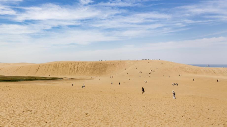 7月14日に「見て、聞いて、知って！TOTTORI」という事業に参加しました！ | 鳥取市環日本海経済交流センター