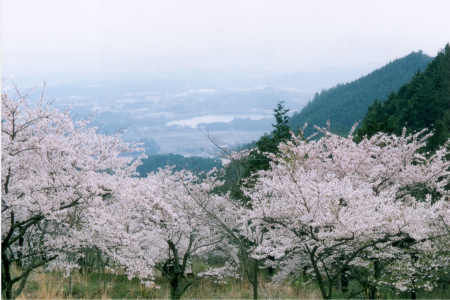 公式】岡山のラブホテル ホテル 花みずき