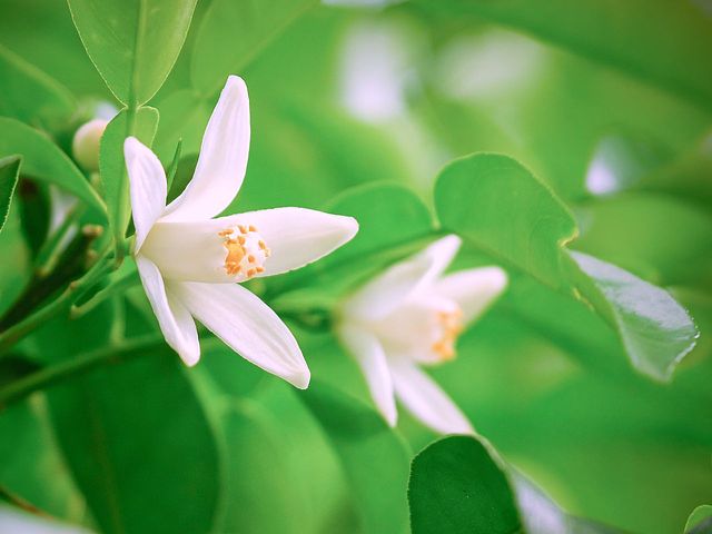 インフレに強い資産7選！弱い資産と負けない戦略を解説 - ネイチャーラウンジ富裕層のための資産運用・税金対策メディア