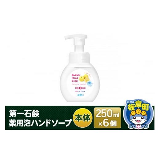 第一石鹸 薬用ハンドソープ 本体