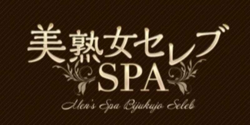 美熟女セレブSPA 厚木ルーム | 本厚木・海老名 |