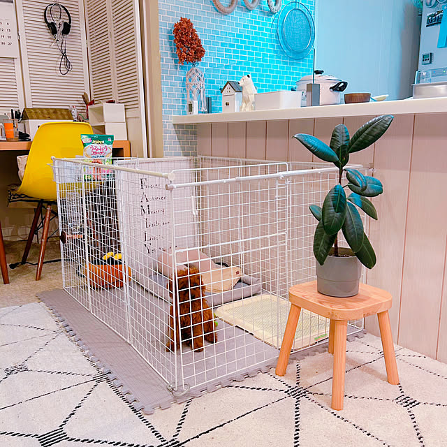 ダイソー ケージDIYのインテリア・手作りの実例RoomClip ルームクリップ