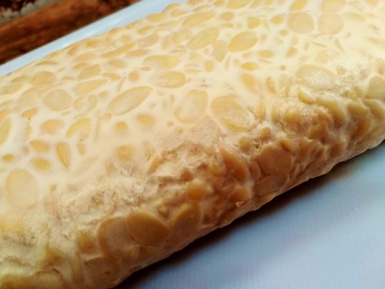 レビュー 冷凍大豆発酵食品「テンペ」 業務スーパ