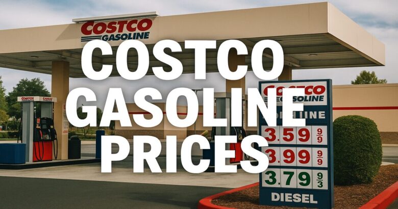 本日のマスク販売状況 コストコホールセール浜松倉庫店