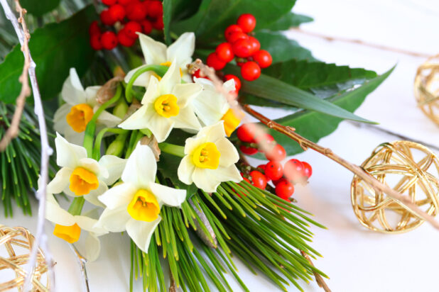 十両・百両・千両・万両の違い