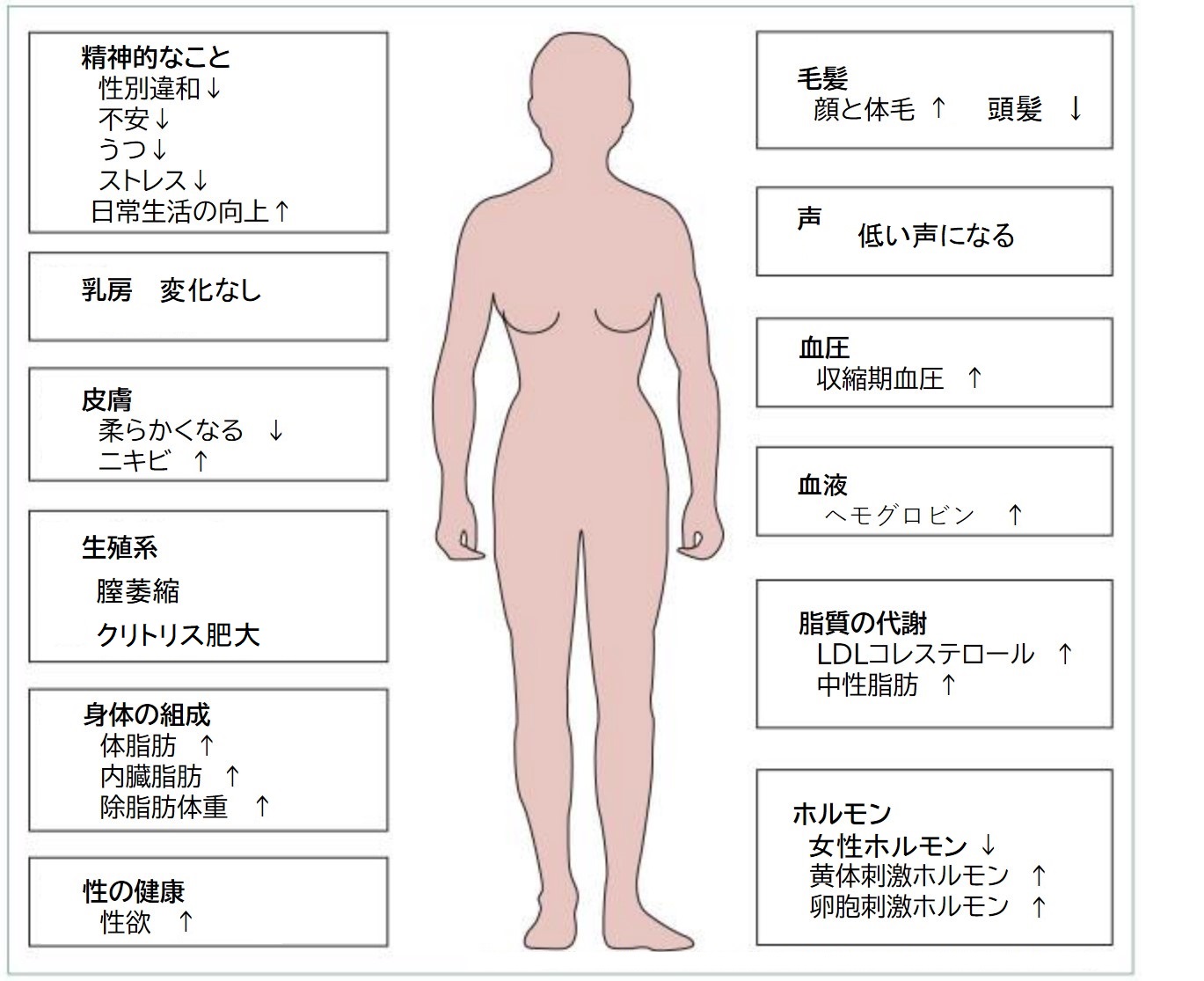 バイブレーター女性用クリトリス刺激マッサージのための巨大なディルドウサギバイブレーター10速度gスポット充電可能な大人のセックスおもちゃ230901を￥1,492  | DHgate