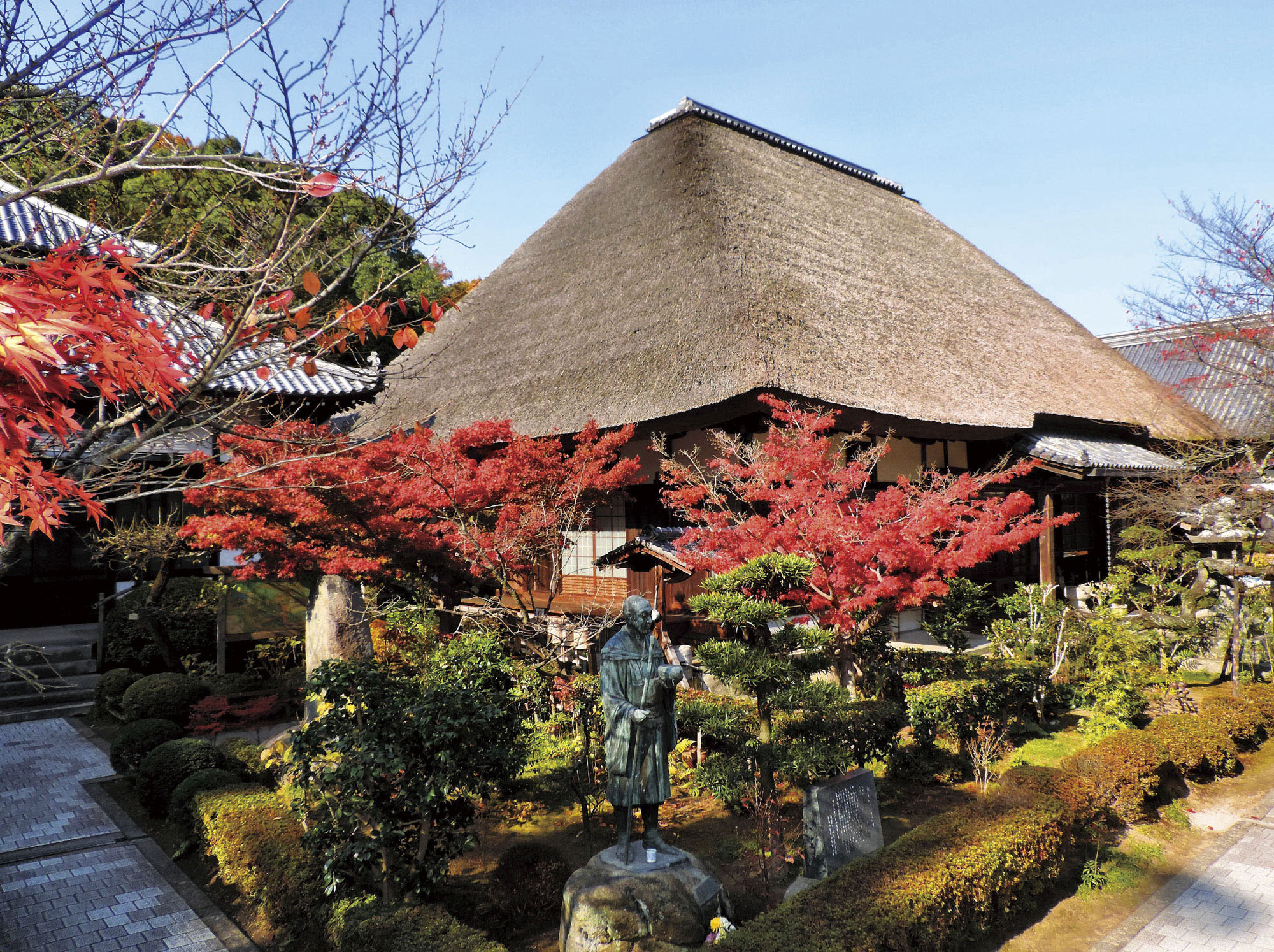 株)花だん｜岡山県倉敷市のフラワーショップ | ハナコト.com