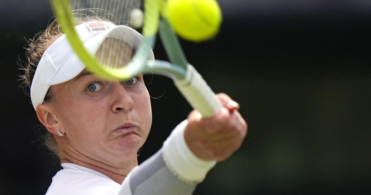 全仏2冠の女王が美人！バルボラ・クレイチコバのwiki的プロフィールと過去の戦績、使用ラケットやかわいいインスタについても初心者のためのテニスまとめ