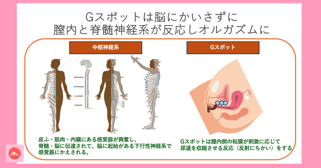 Gトリートメント | ガーデンクリニック