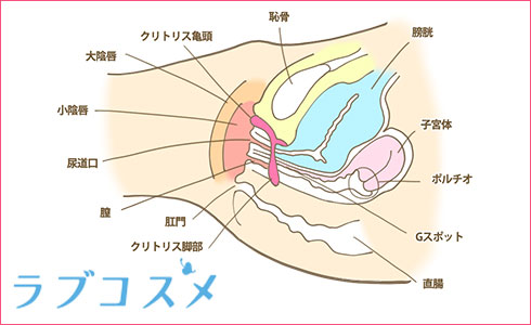 他人チ○ポで初・膣中イキ】「SEXなんて人に見せるものじゃないです」なんて真面目な奥さんが快感にぶっ壊れる！！Gスポットガンガン責められ足ガックガクで爆潮ww人生初の中イキで獣のように喘ぎまくる！！！  TNB7人目」：エロ動画・アダルトビデオ