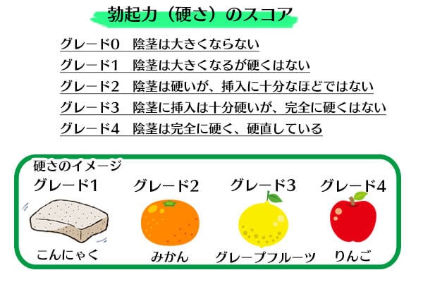 医師監修】勃起力を向上させる筋肉 | オンライン診療NAVI