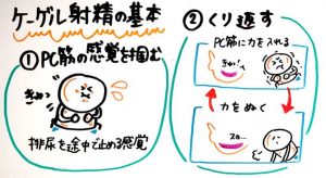 決定版】勃起力を上げる筋トレ方法6選！プロテインとの相乗効果も解説 | オンライン診療NAVI